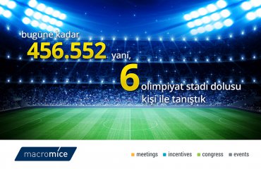 macromice_stadium
